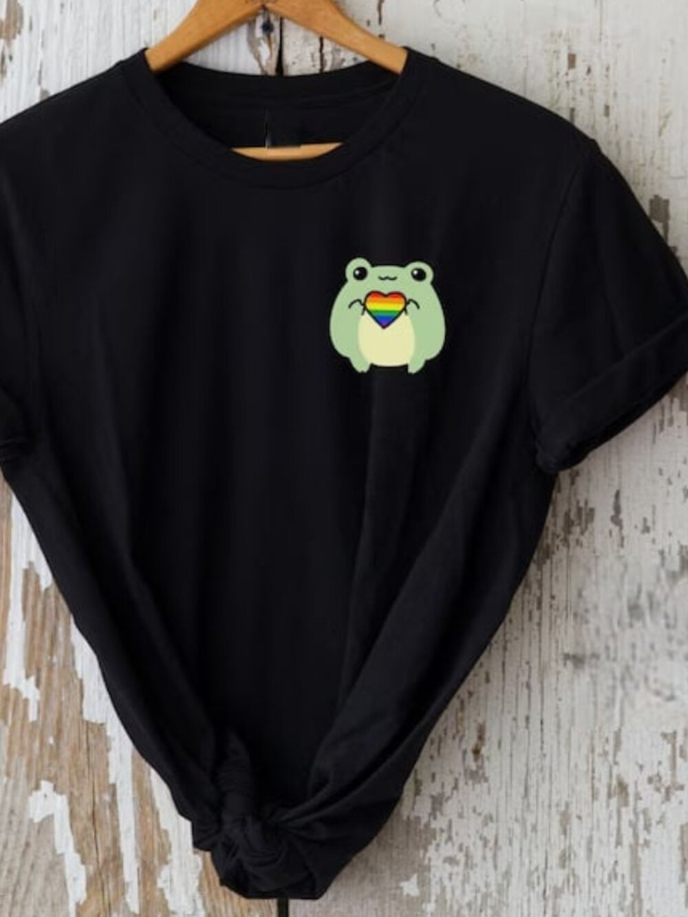 LGBTQ Pride Shirt, Cute Gay Tee, Pride Month Shirt Gift